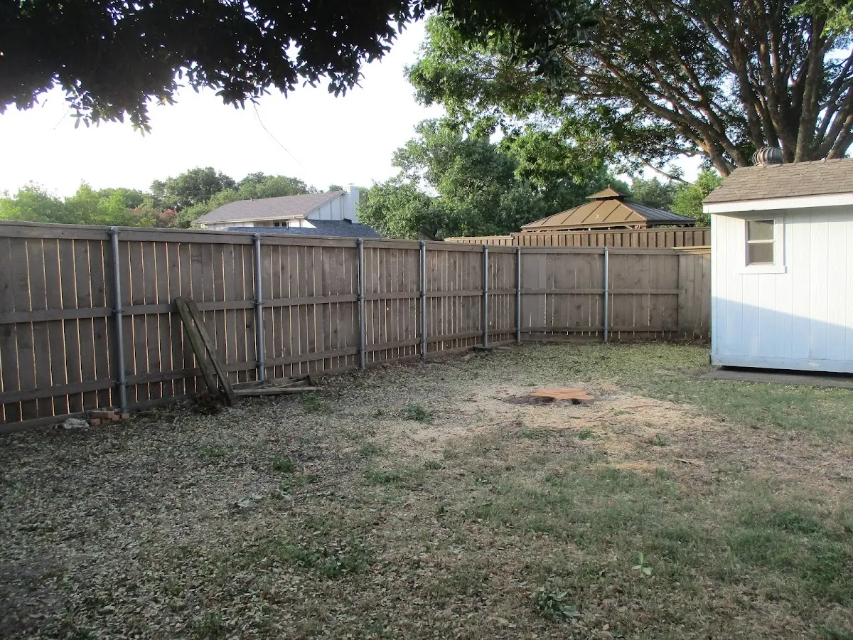 Cleared yard after professional tree removal in Cresco