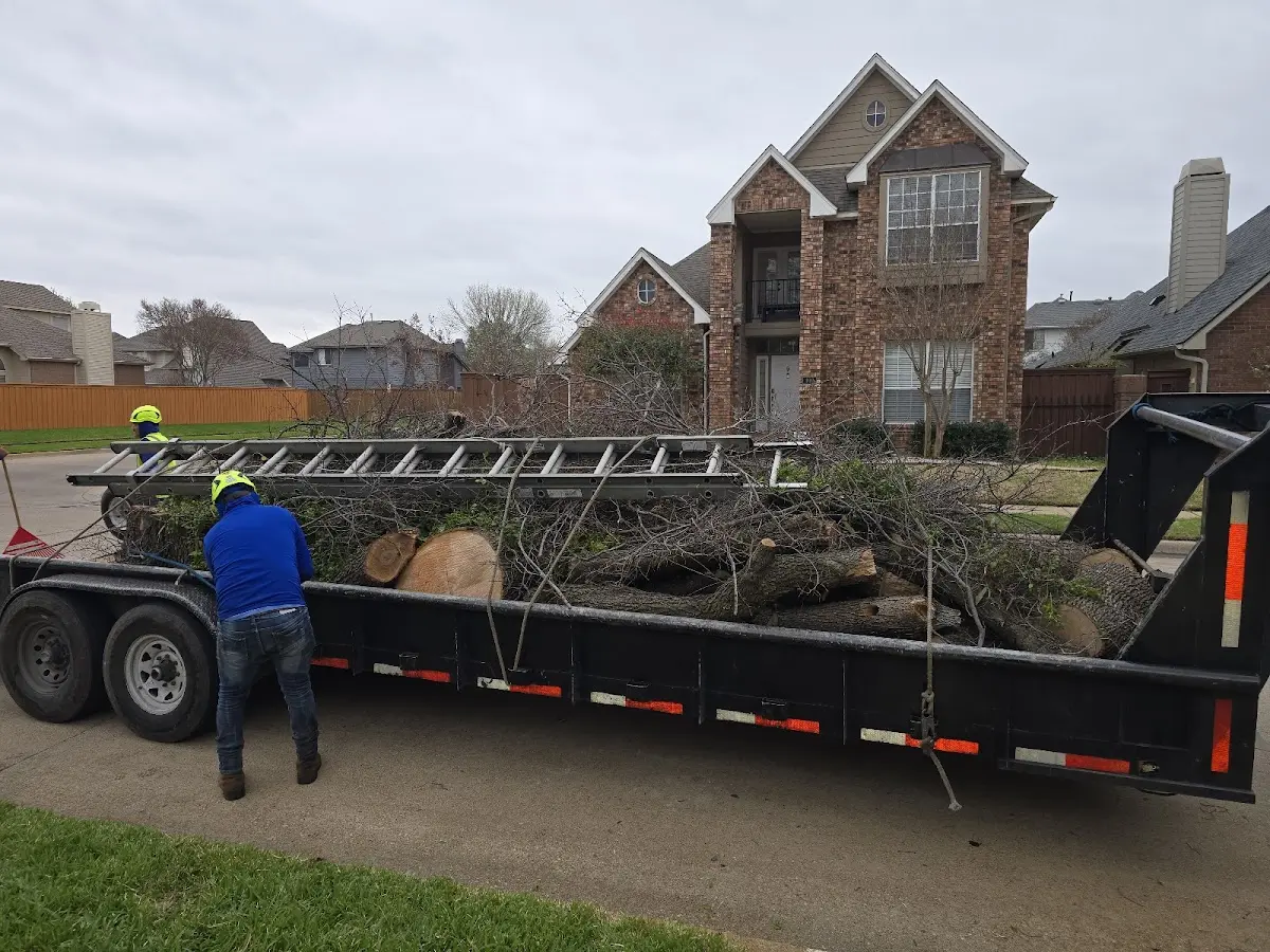 Expert Crown Reduction with proper safety equipment in Cresco